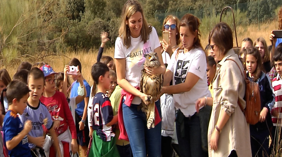 Suelta de Aves rapaces en Madridejos